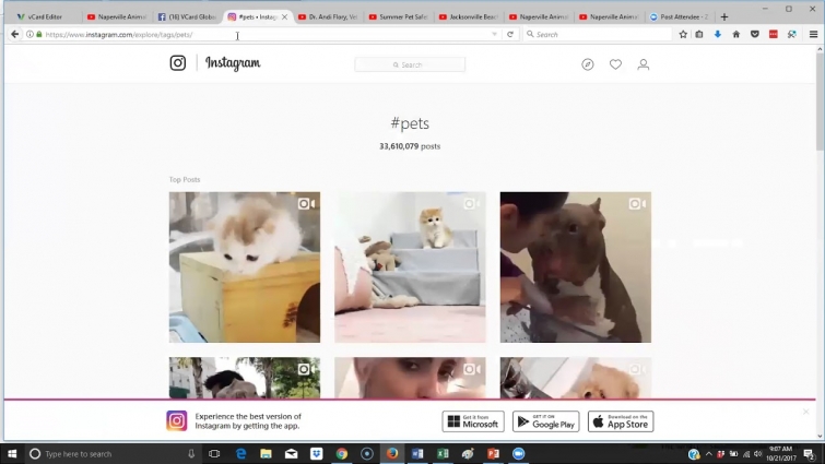 vCard Global Workshop – Build a vCard for the Veterinarian