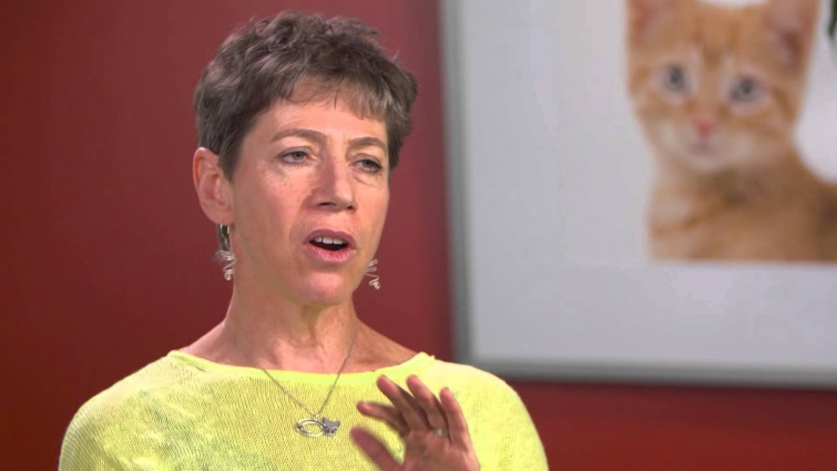 Making A Trip To The Vet Easier On Your Cat