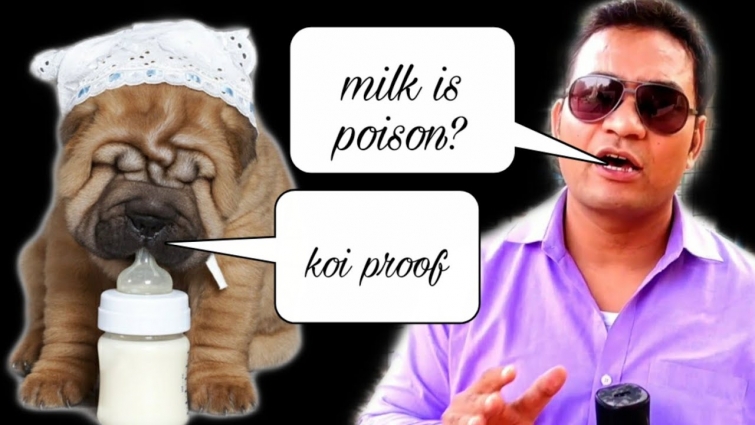 Milk for Dogs – YES OR NO ? Kya Dog ko दूध Pila Sakte hai |milk feeding to Dog Care Tips (HINDI)