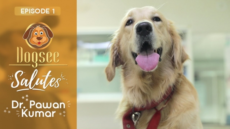 Dogsee Salutes The Heroes of the Vet Industry – Dr Pawan Kumar