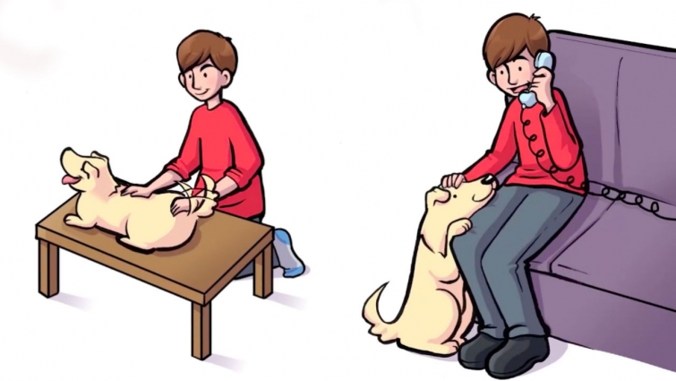 12 Ways To Make Your Dog's Vet Visit Fear Free