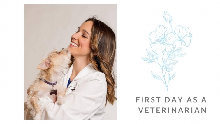 First day as a Veterinarian