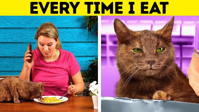 LIFE WITH CAT VS. LIFE WITH DOG || 24 HACKS FOR PETS OWNERS
