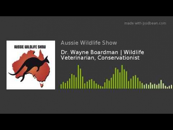 Dr. Wayne Boardman | Wildlife Veterinarian, Conservationist