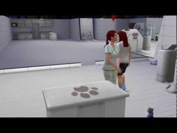 One day as a veterinarian