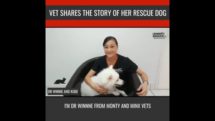 Vet Shares The Story Of Her Rescue Dog