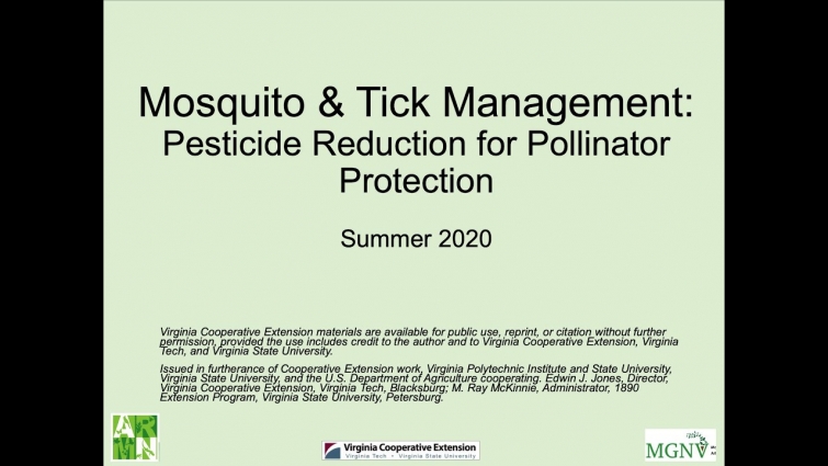 Controlling Mosquitoes & Ticks in Your Yard without Pesticides
