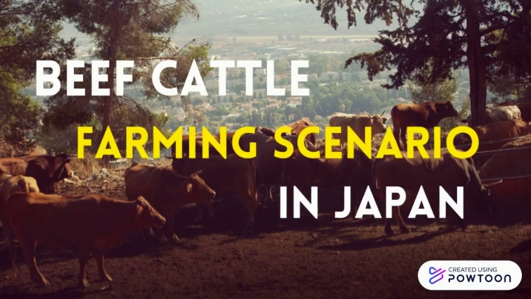 Animal Practices in Japan 1