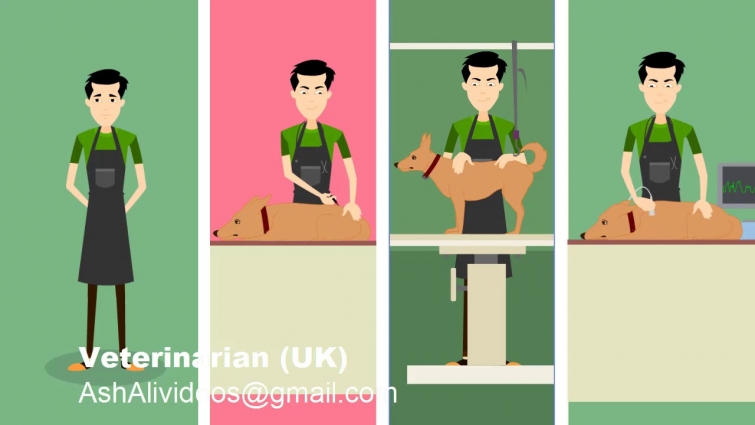 Misc   Veterinarian UK