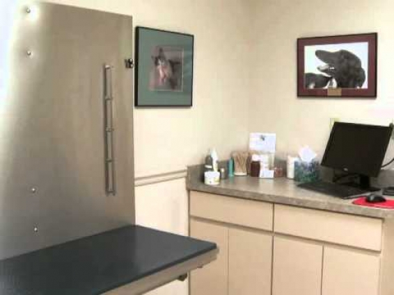 Pinellas Animal Hospital, Veterinarian, Pinellas Park, FL