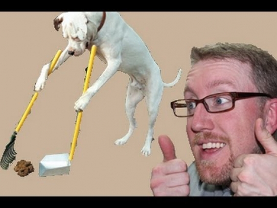 Vet How to: Prepare & Analyze a Stool (Poop) Sample (The Scoop on Poop!)