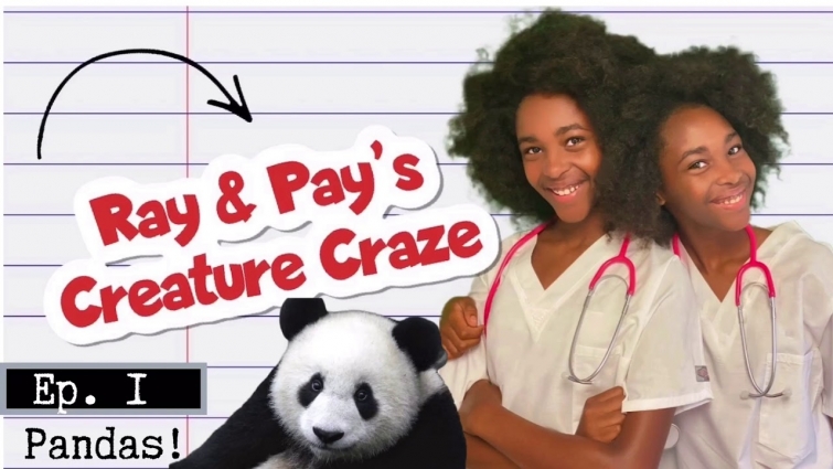 Twin Pet Vets in Training: Ray & Pay’s Creature Craze! Pandas