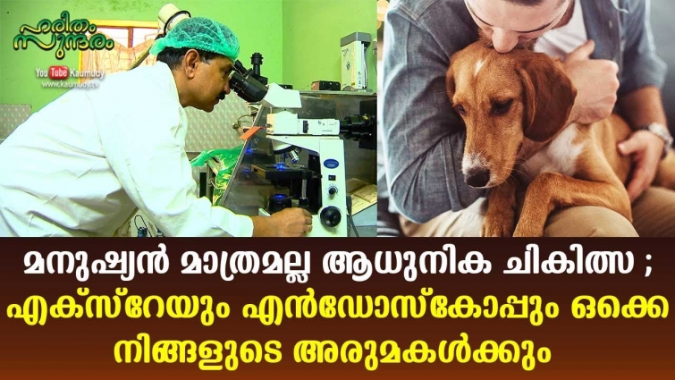 X-ray, Endoscope ; Pets get modern medical support in Kollam | Haritham Sundharam | EP 280 | Kaumudy