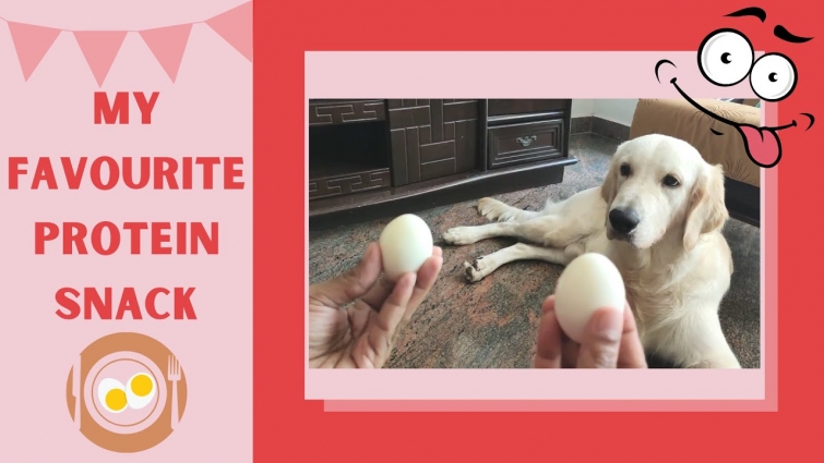 how to feed your dogs egg a high protien snack?