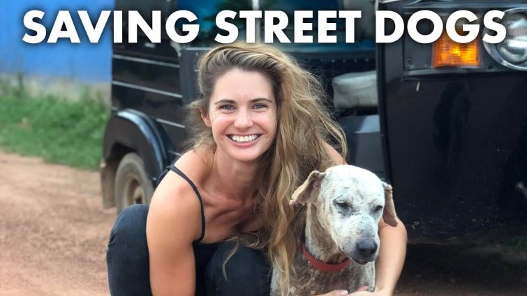 This veterinarian is a superhero for street dogs | New York Post