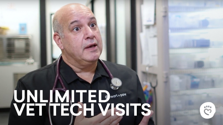 Unlimited Vet Tech Visits With Your Prevention Plan