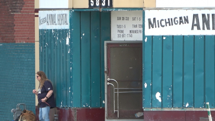 The Greatest Veterinarian That Ever Lived