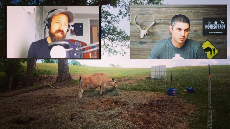 COW VET EXPLAINS WHATS NEXT for LADYBUG, and HOW TO AVOID THIS ALL