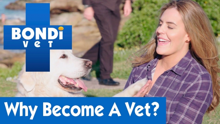 Why Dr Kate Adams Became A Vet