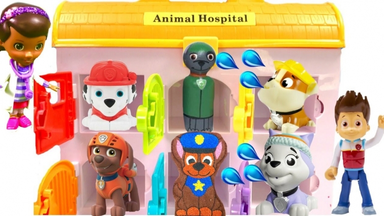 Mission Pups in Animal Hospital