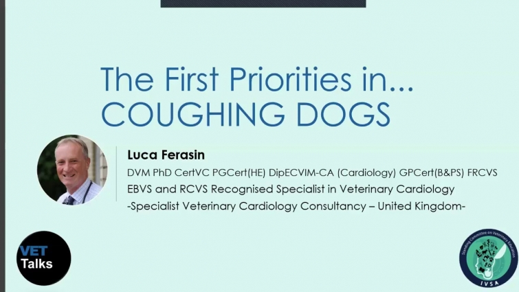 VET TALKS: THE FIRST PRIORITIES IN COUGHING DOGS