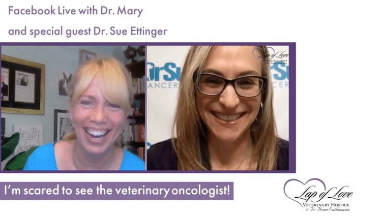 Lap of Love Facebook Live with Dr  Mary and Dr Sue