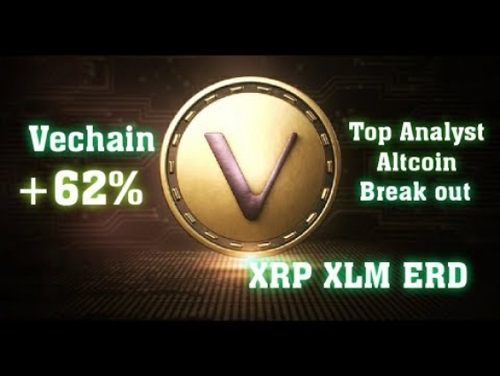 Analyst Says Altcoin Breakout Imminent, #VET on FIRE #XRP #ERD #XLM # 4TH JULY BULLISH SHOW