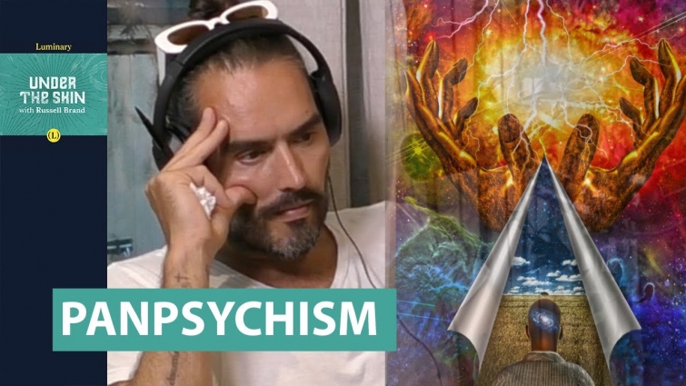 Is EVERYTHING CONSCIOUS!? | Russell Brand & Prof. Philip Goff