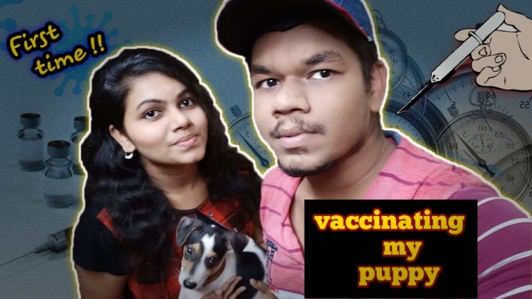 First time vaccination my puppy | max | Tamil