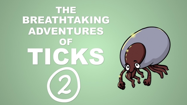 The Breathtaking Adventures of Ticks – Plain and Simple (Part 2)