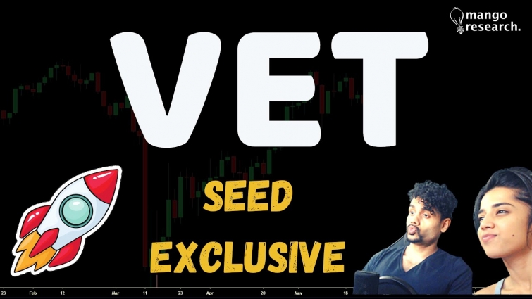 VECHAIN Could Pump Soon? | VET BTC | Price Prediction Today |  NEWS & Market Analysis | JUNE 2020 🏮