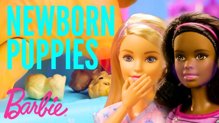 Newborn Puppies at the Pet Care Center | Barbie