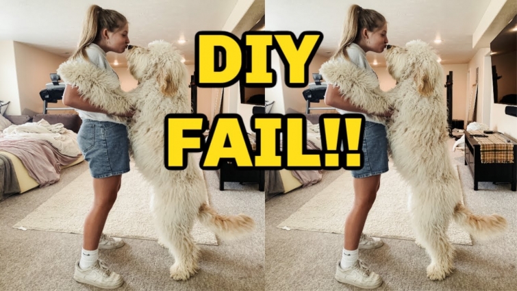 WE SHAVED OUR DOGS HAIR *FAIL*