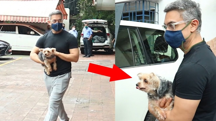 Aamir Khan Spotted With His Pet At The Dog Pet Clinic Andheri