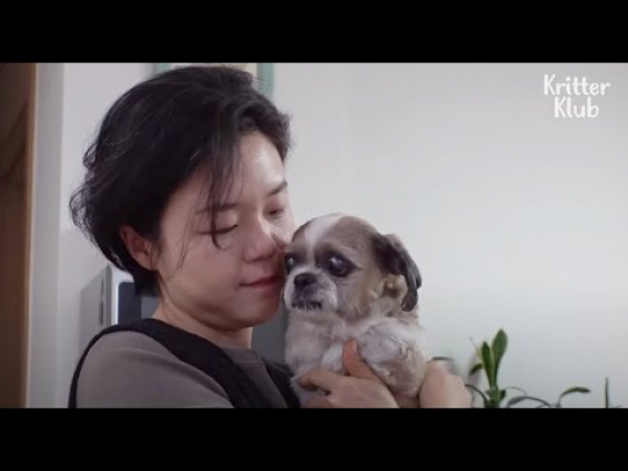 What Happens When A 17-Year-Old Dog Has Vet Mom And Dad (Part 2) | Kritter Klub