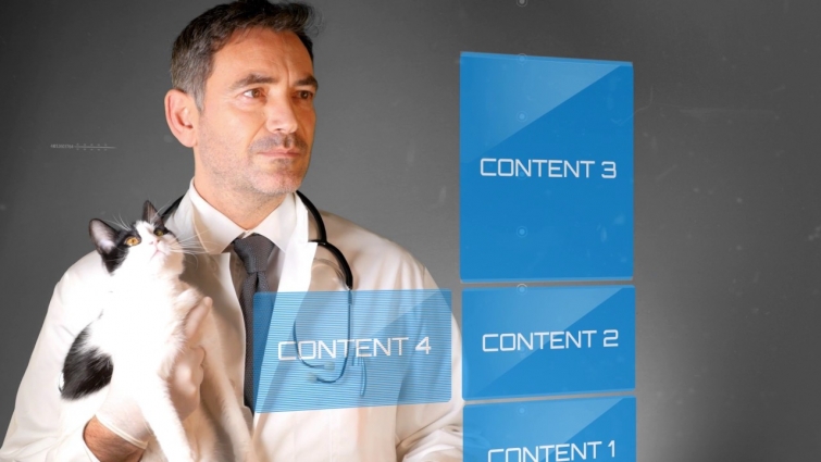 Vet Clinic – Pet Veterinary Hospital Intro – After Effects template project