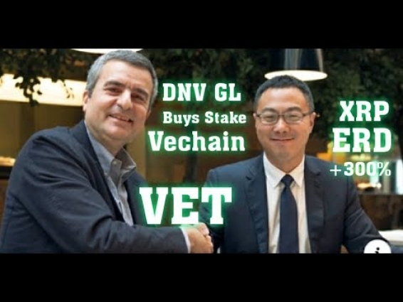 #XRP#VET Bullish VeChain Sentiment is far From Over. DNV GL Buys Stake in #VET Hidden Gem UP +300% #