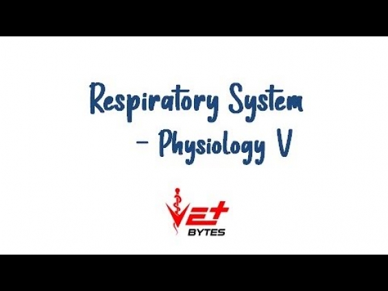 Respiratory clearance, Pneumoconiosis and Panting | Vet Bytes | Veterinary Physiology