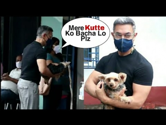 Aamir Khan Arrives PET CLINIC For His Puppy Treatment | Aamir Khan Steps Outside From House