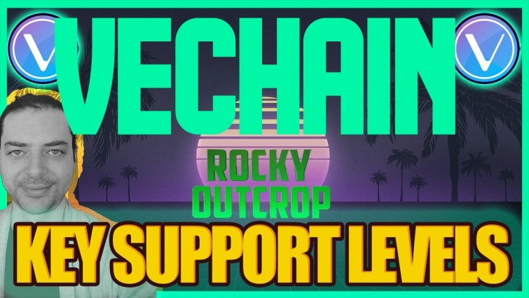 Key Levels to SUPPORT the HUGE VeChain PUMP. VET Technical Analysis