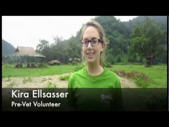 ISV Thailand – Pre Vet Program with Elephants