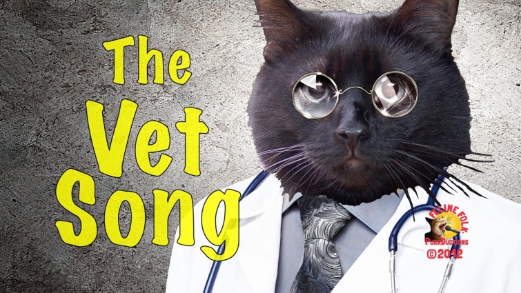 The Vet Song