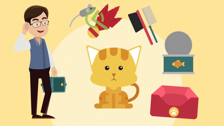 Veterinarian Promo Video | Veterinarian Video Marketing