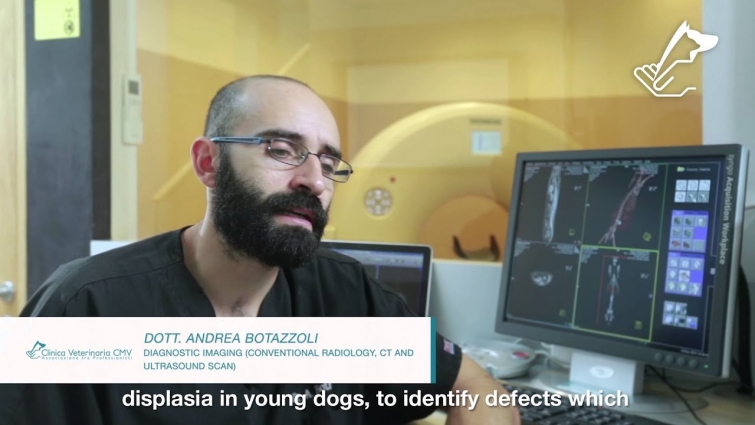 Veterinary 16slice ct scan for dogs and cats – CMV Varese