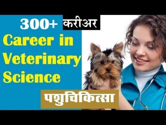 Career in Veterinary Science पशु चिकित्सक Veterinary Medicine 300+ Career option | Guidance Room