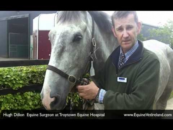 Equine Vet from Equine Hospital discusses importance of Fit