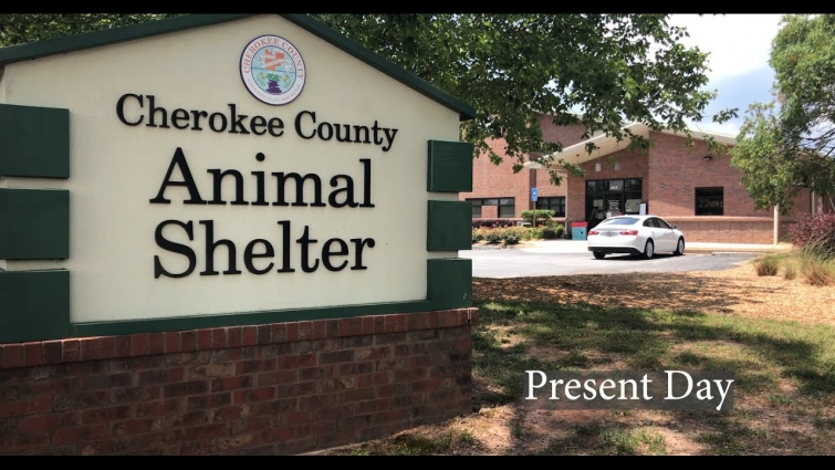 EPISODE 116 Puppy Mill Bust Sends Dr. Good To The Rescue!