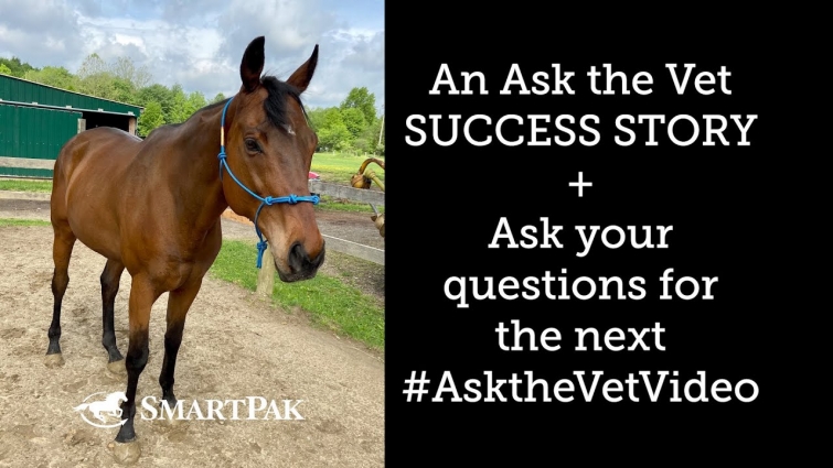 An Ask the Vet Success Story + Ask your questions for our next video!