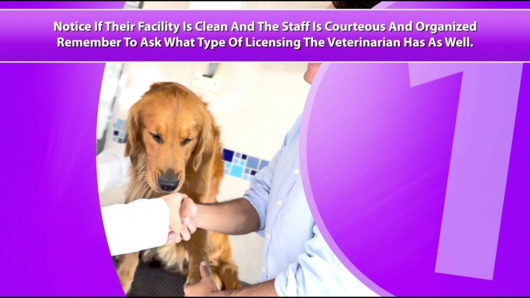 Veterinarian
