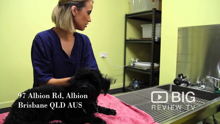 Albion Veterinary Surgery a Veterinarian in Brisbane offering Pet Care